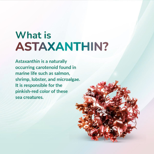 Astaxanthin Softgels